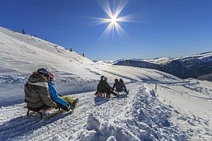 Rodeln im Skigebiet Reinswald
