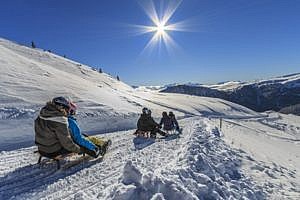 Rodeln im Skigebiet Reinswald